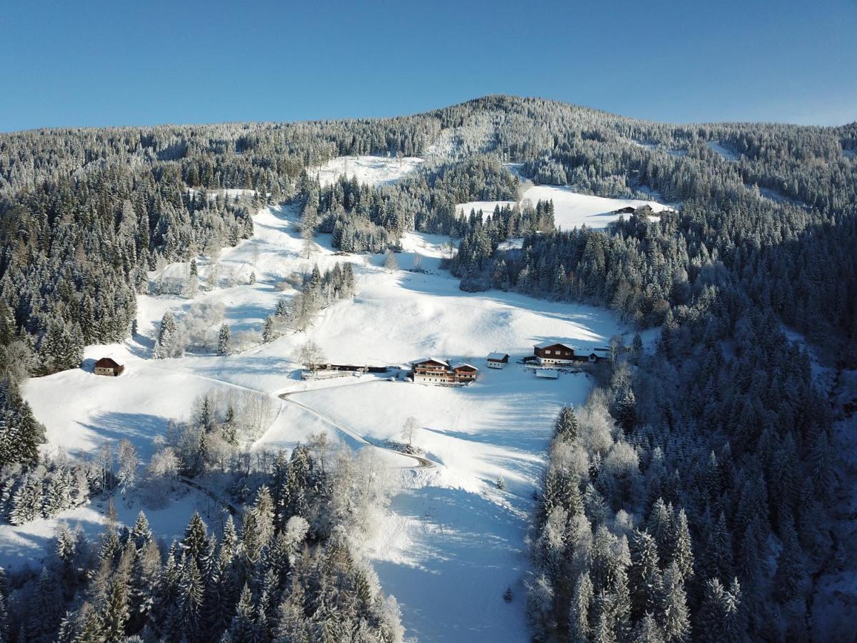 Pension Bergbauernhof Irxner Pichl-Preunegg ภายนอก รูปภาพ