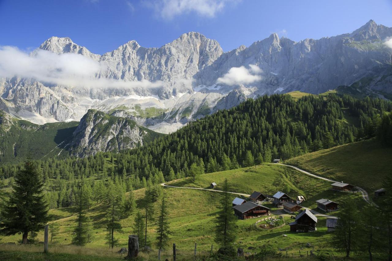 Pension Bergbauernhof Irxner Pichl-Preunegg ภายนอก รูปภาพ